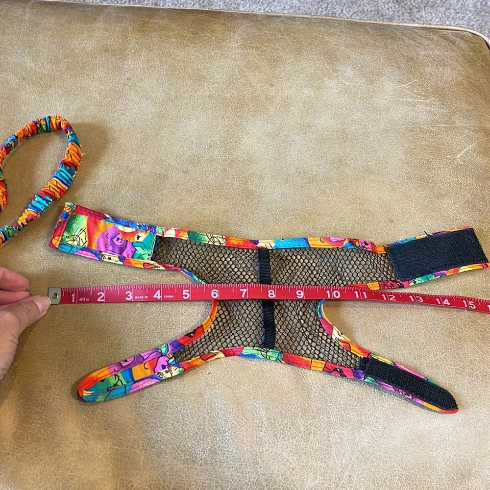 NWOT Homemade pet harness and leash
